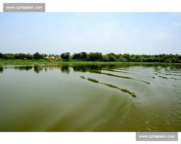 燃情鸣翠湖！“好运山东 骑迹山海” 河口站圆满落幕
